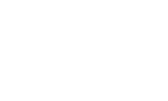 RIO-lOGO